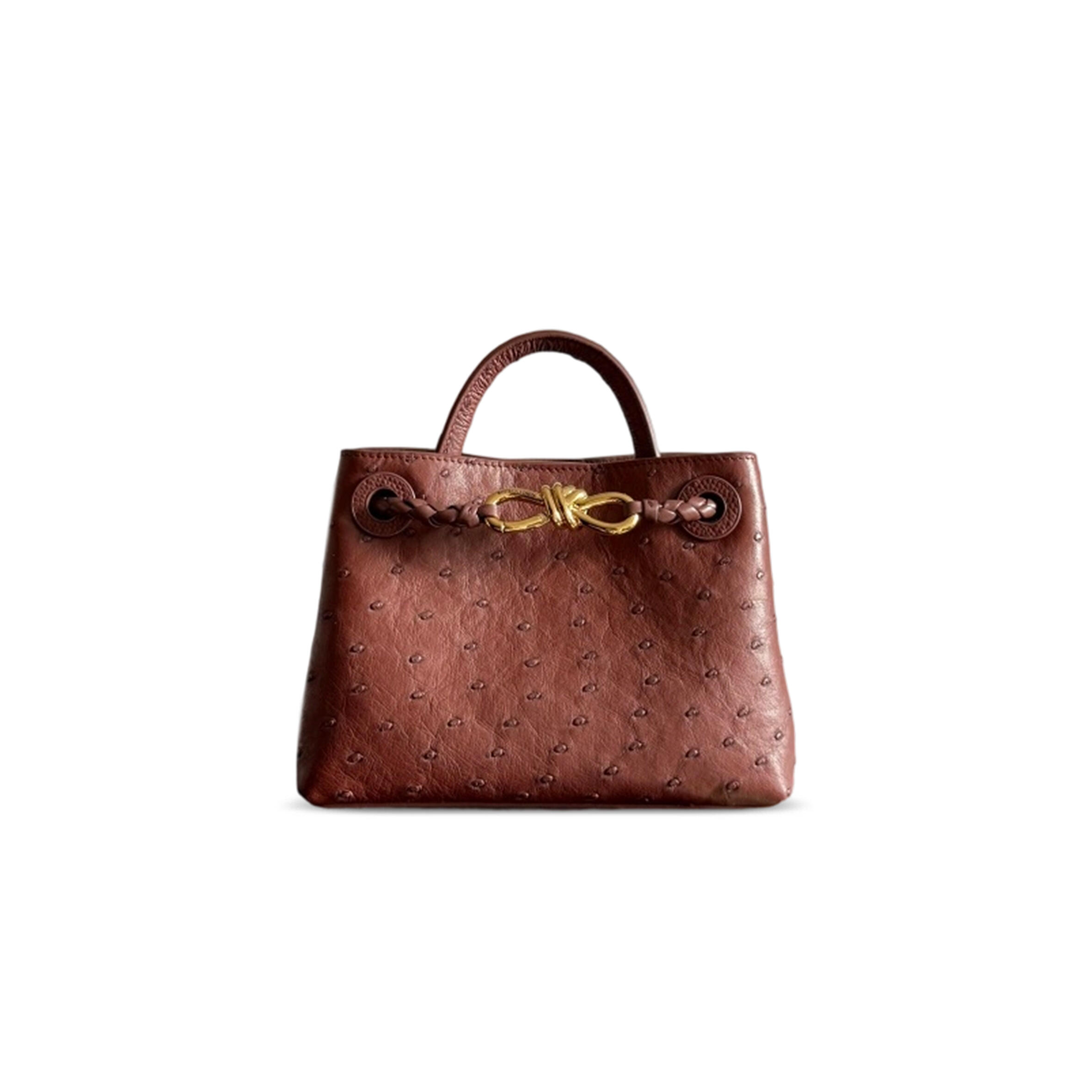 BOTTEGA VENETA MINI ANDIAMO OSTRICH LEATHER 805232 (20.5*15*7.5cm)
